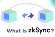 ZKsync: Vitalik's Backing and Crypto Payroll – What Reddit is Saying
